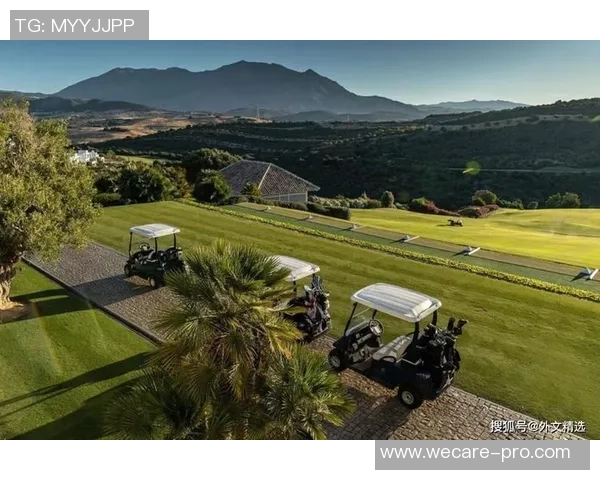 夜店风潮与足球明星：聚焦球场外的精彩生活与独特魅力