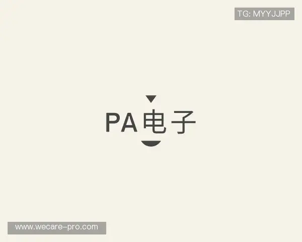 关于PA电子